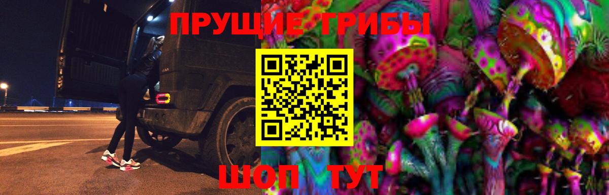 Галлюциногенные грибы Cubensis  Галлюциногенные грибы Psilocybe  Кимры  Вход с VPN 